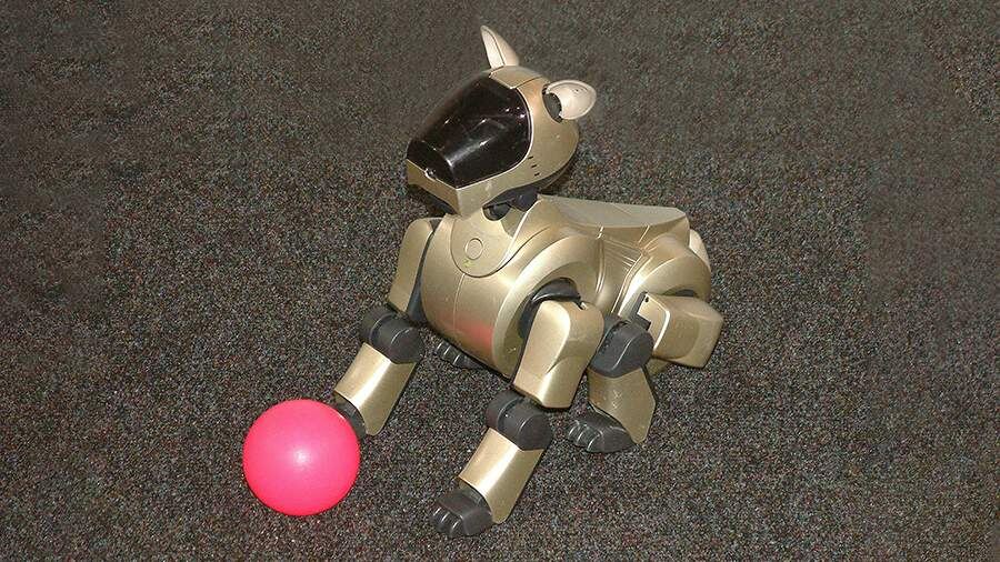    Фото: Global Look Press/Victor Lisitsyn