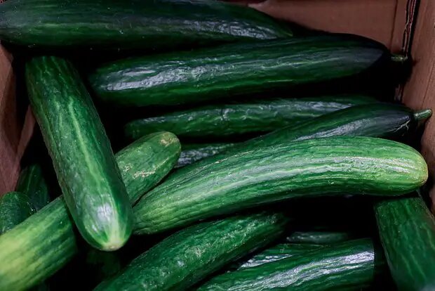    Фото: lenta.ru Анна