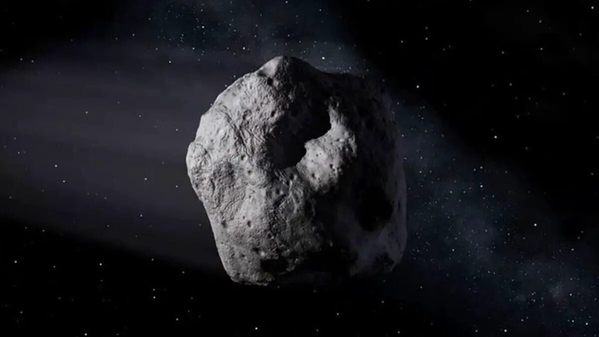    Фото: naked-science.ru Виктор