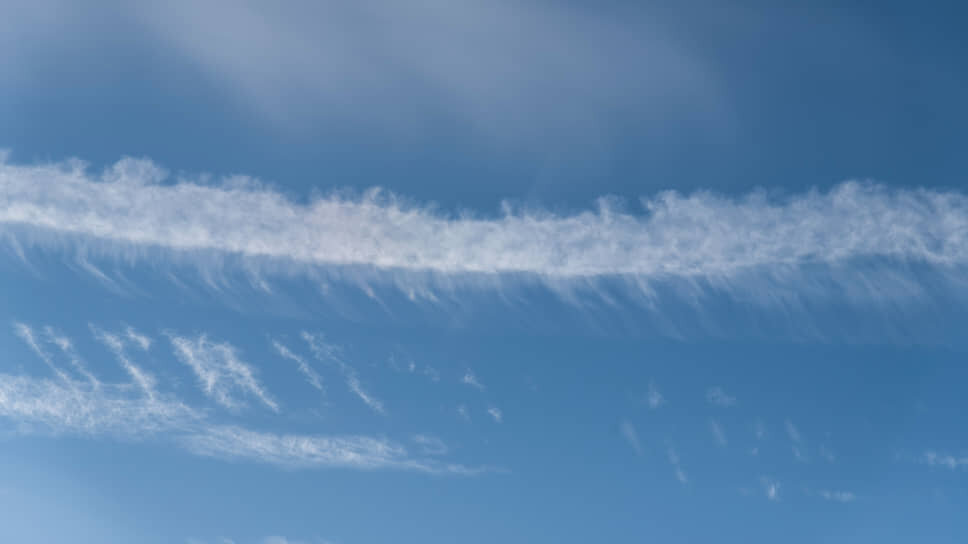 Фото: Игорь Елисеев / Коммерсантъ