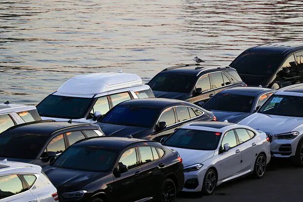    Фото: lenta.ru Елизавета Кошелева