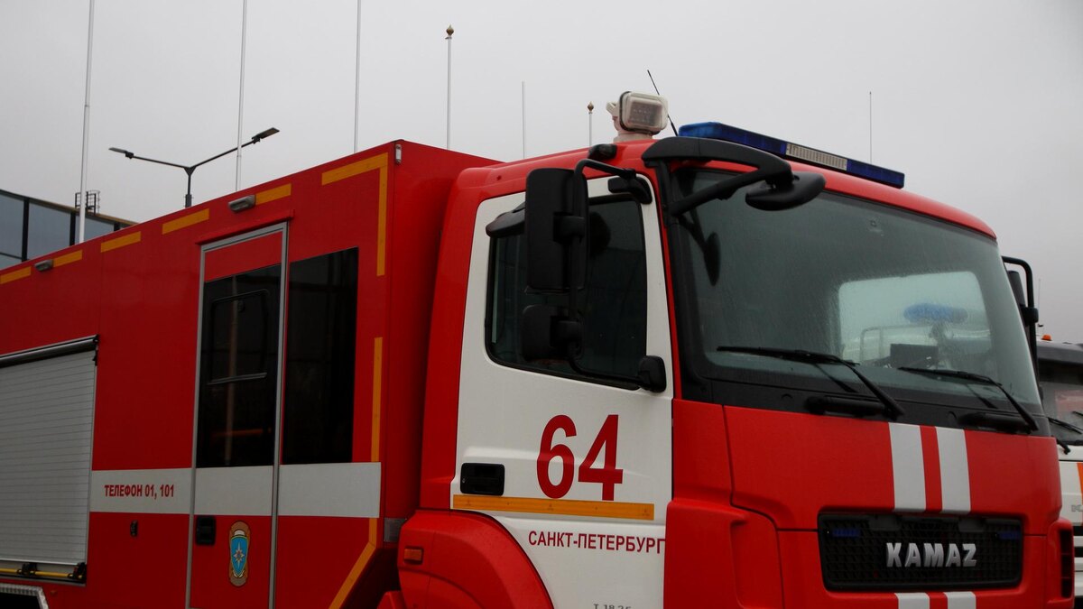    Фото: Maksim Konstantinov/Global Look Press