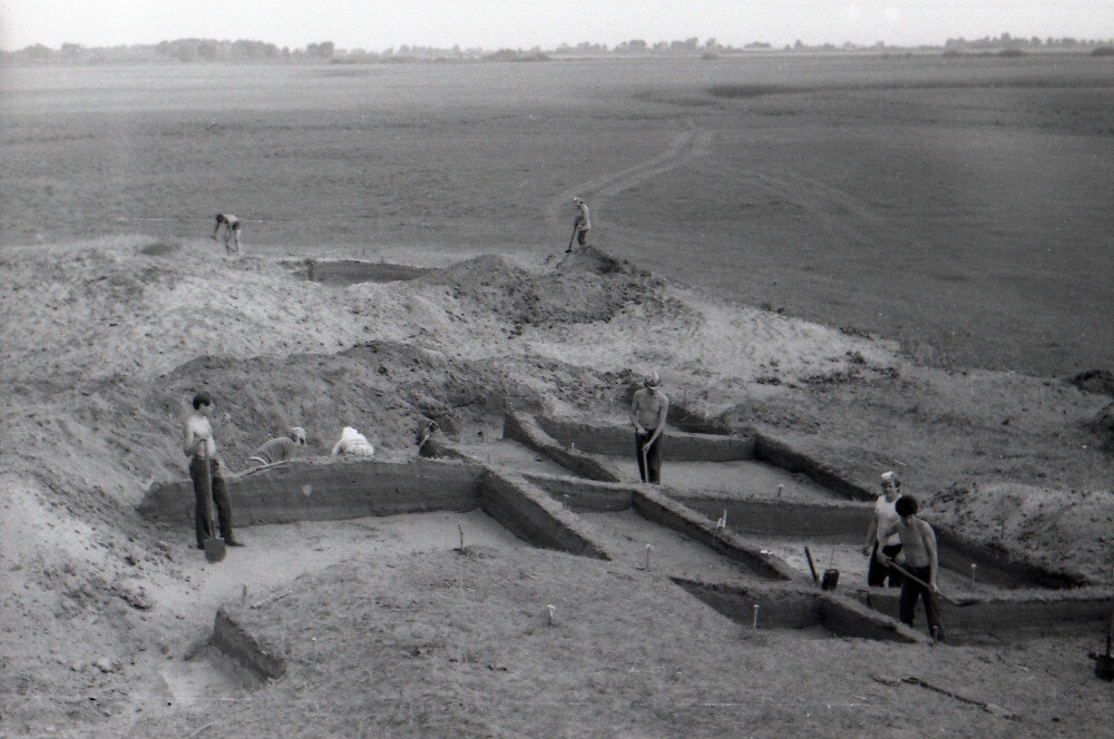 Раскопки святилища Савин-1, 1983 год