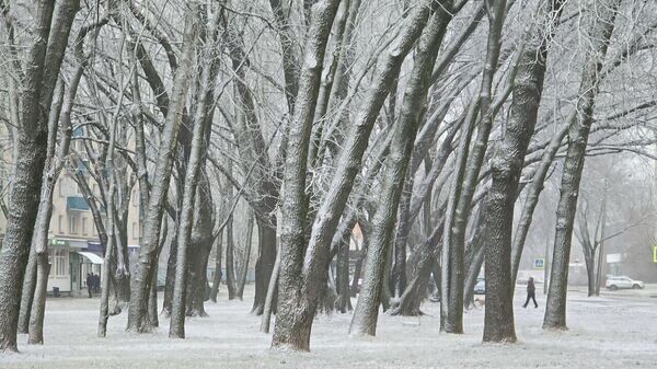    © Sputnik / Виктор Толочко