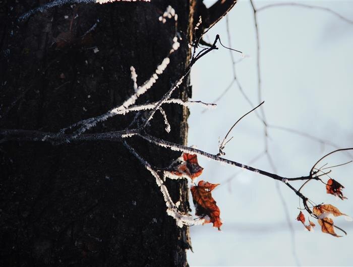    ФОТО: Белова Александра