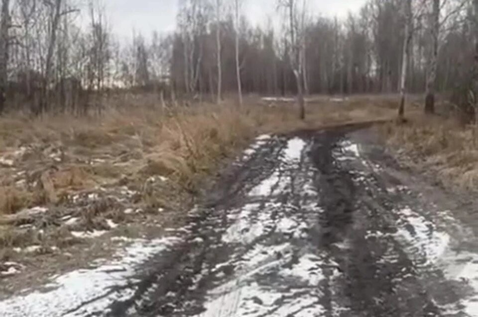    Фото: ОНФ в Челябинской области