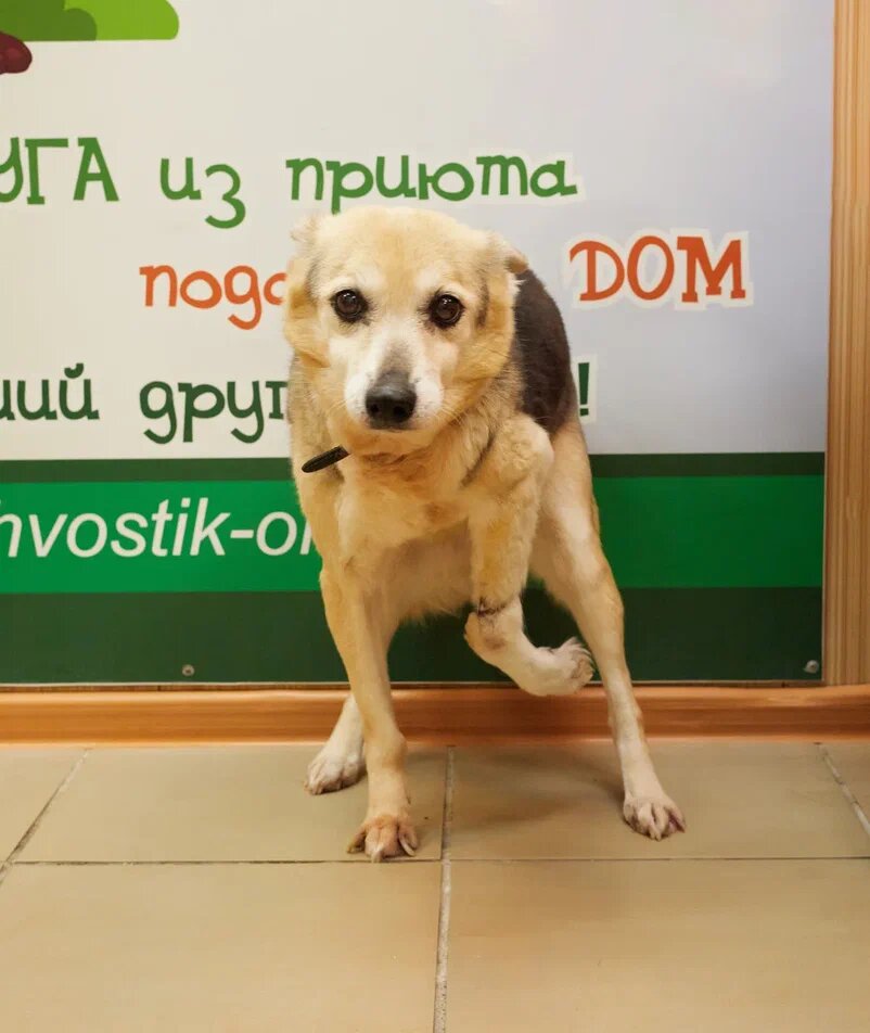 Мы сегодня просто в отчаянии самом настоящем!