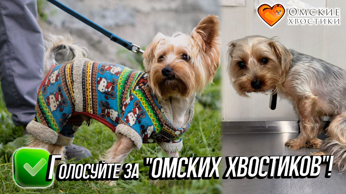 Всё зависит только от нашей с вами сплочённости! 