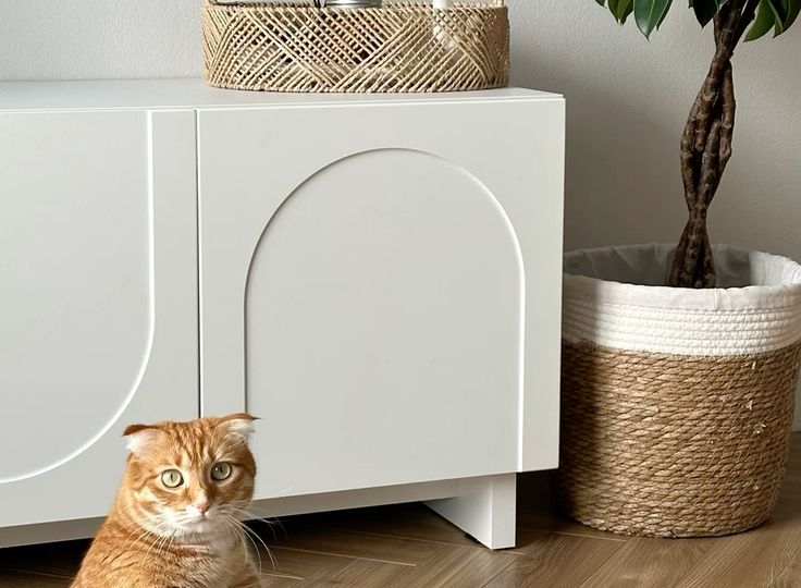 Дом, в котором уютно и вам, и коту: 7 интерьерных фишек, о которых вы могли не знать. Животное в доме.