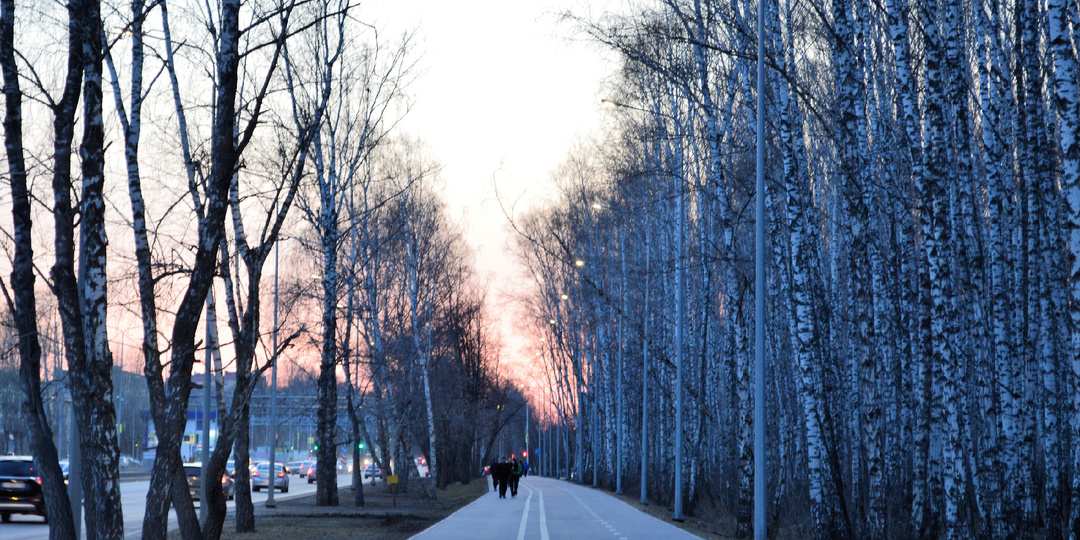 Гришенька, сынок