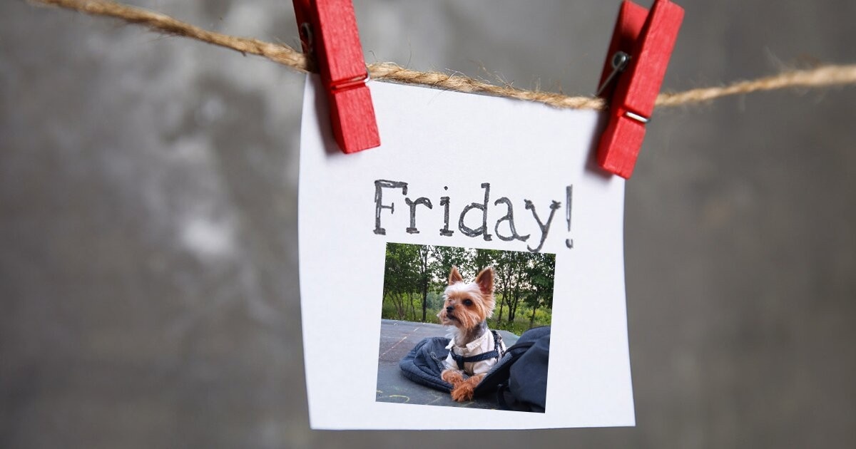 Всех с пятницей