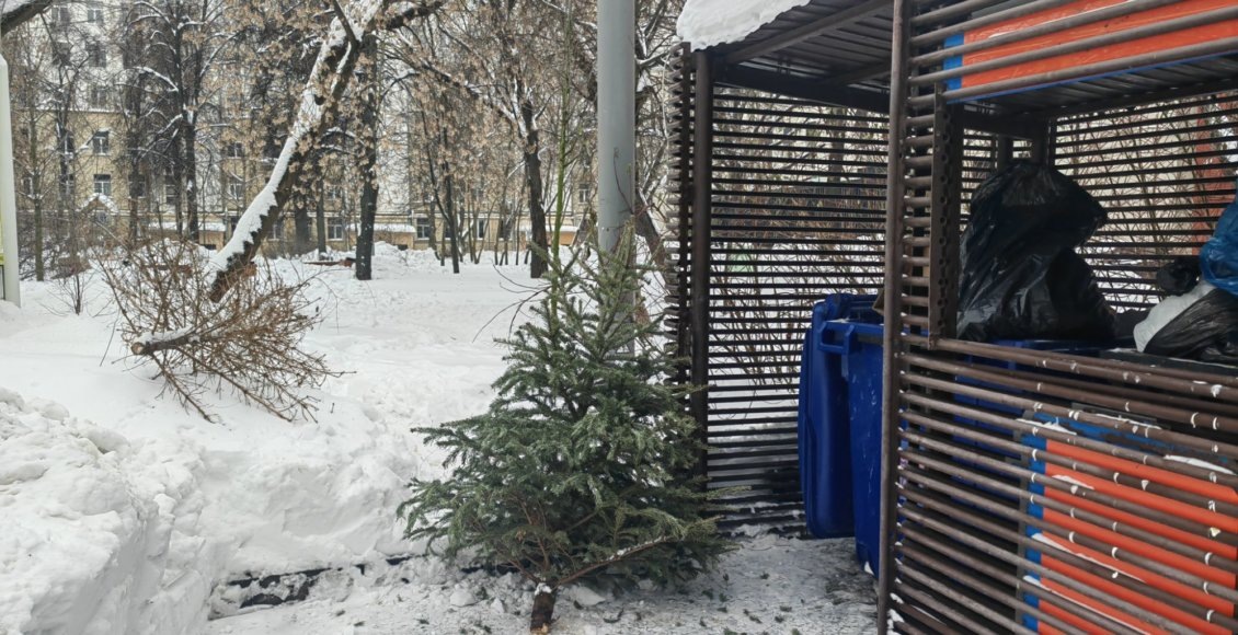    Фото: НИА "Экология"