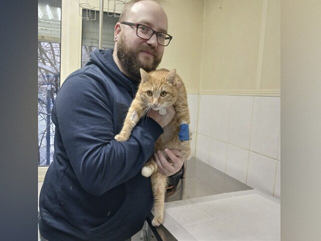    Фото: ГБУ "Мосветобъединение"