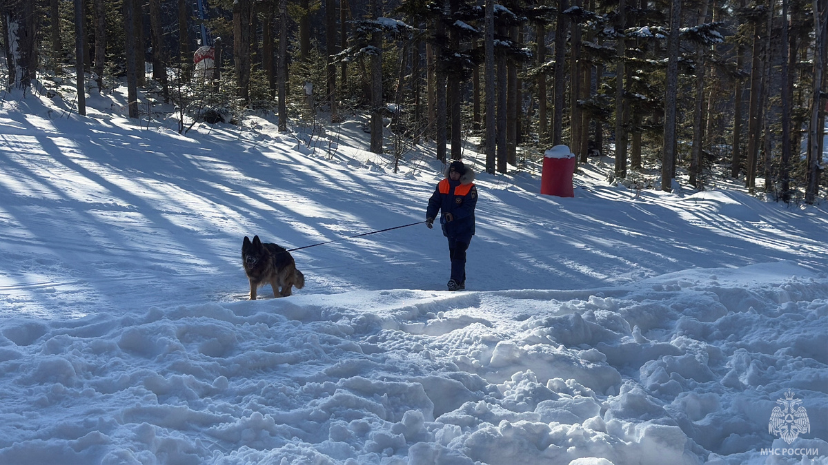 Кинологический расчет движется на поиски условных пострадавших