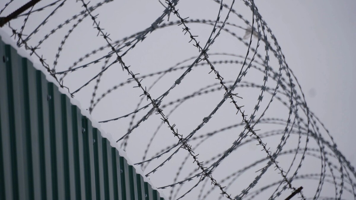    Фото: Юлия Чудинова/«Ямал-Медиа»