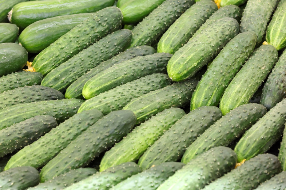    Алексей Белкин/NEWS.ru