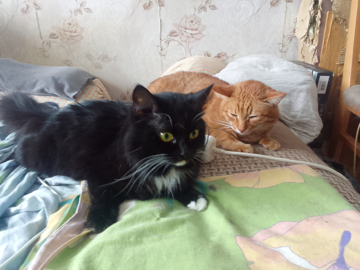 Октава и Аббат 