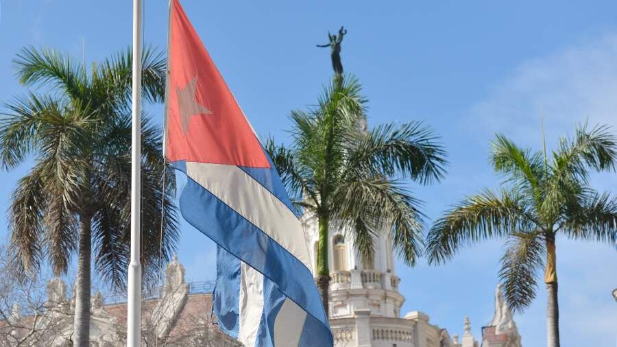    Фото: Global Look Press/Artur Widak