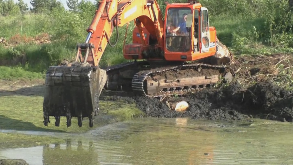 Дно покрывал толстый слой ила...