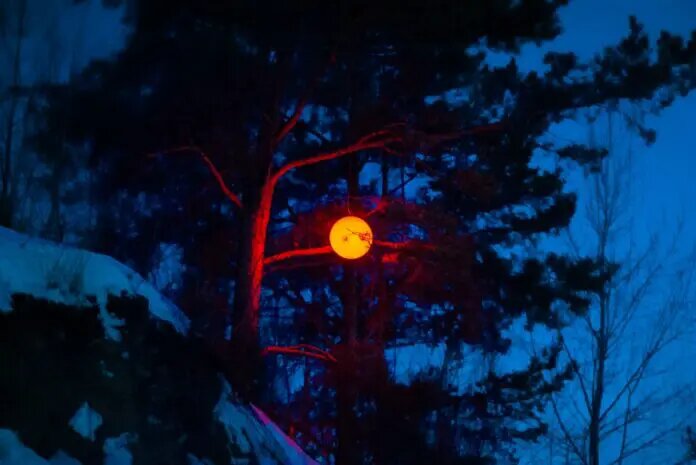    Фото: oblgazeta.ru Татьяна