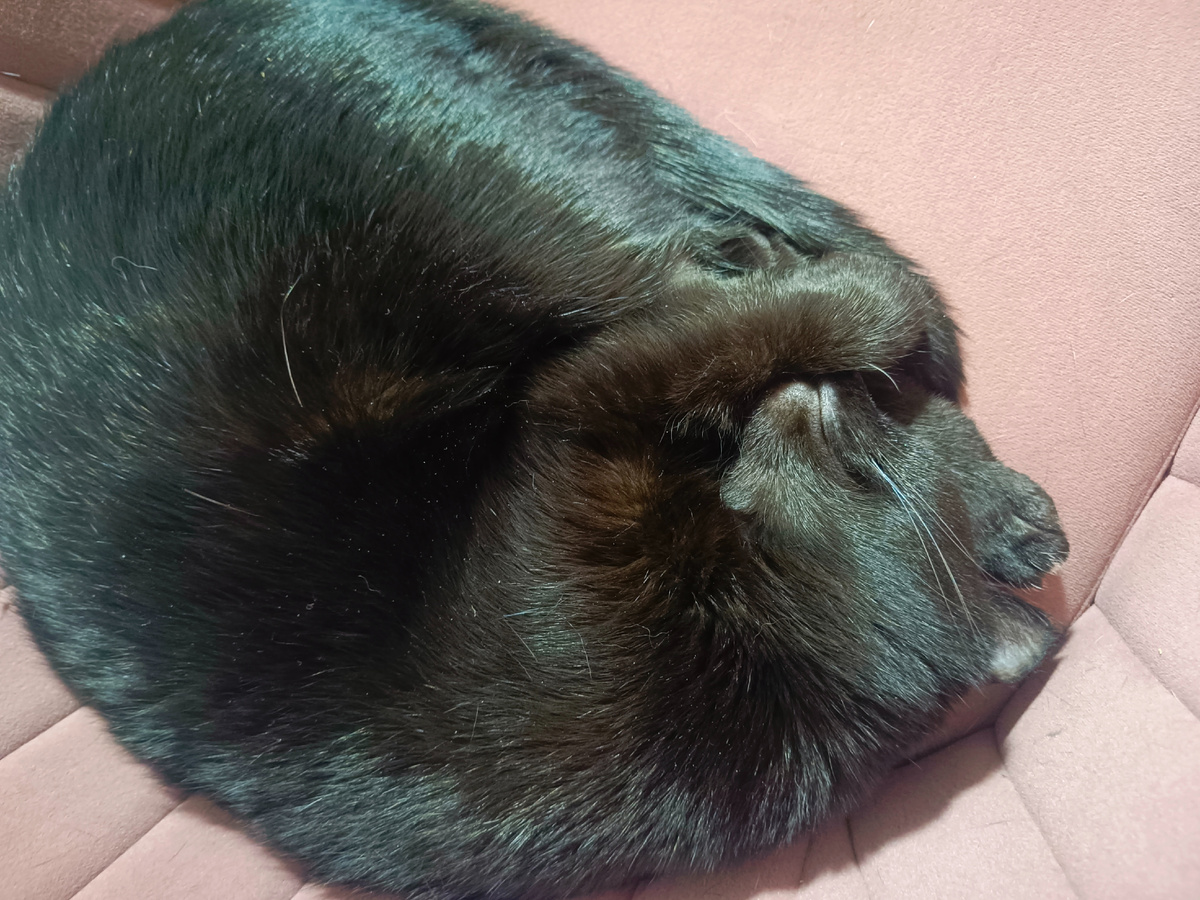 Веня. Фото автора