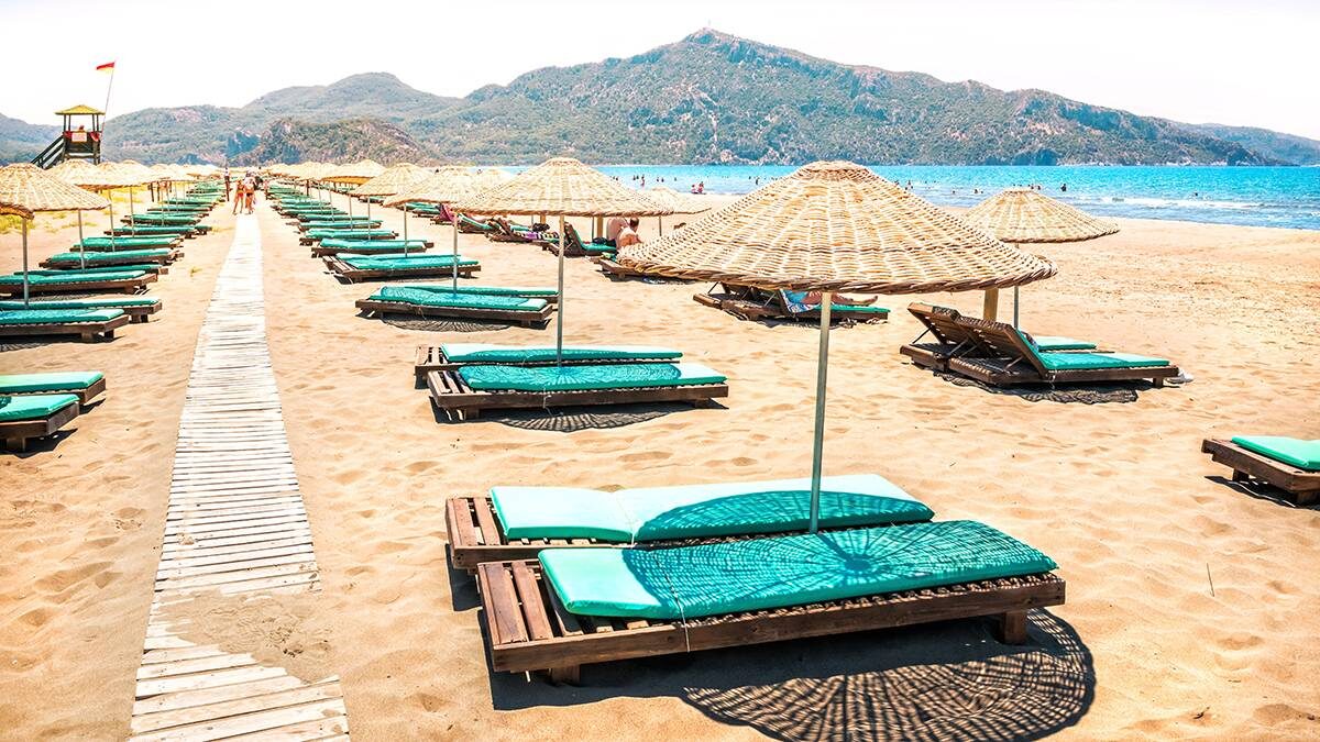    Фото: Shutterstock