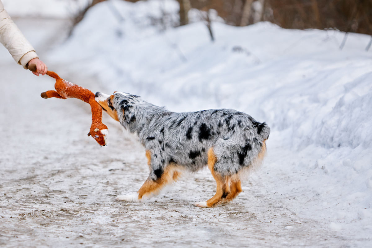 Тянет-потянет, вытянуть не может