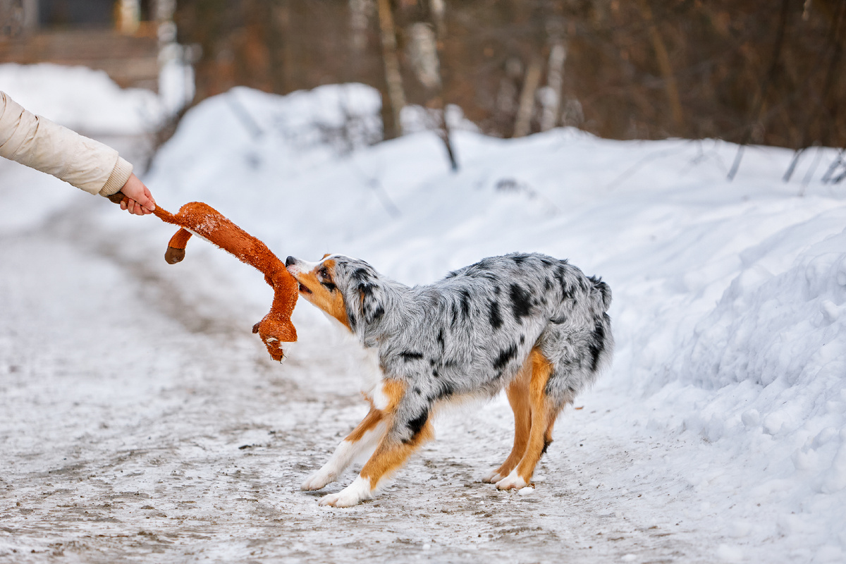 Вон как старается!
