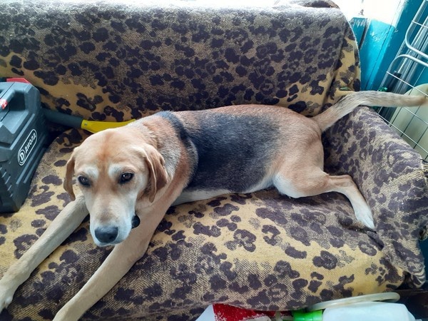 Фотография автора