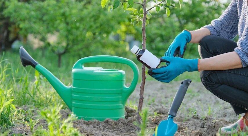 Первая подкормка сада весной: какие удобрения и когда вносить в марте