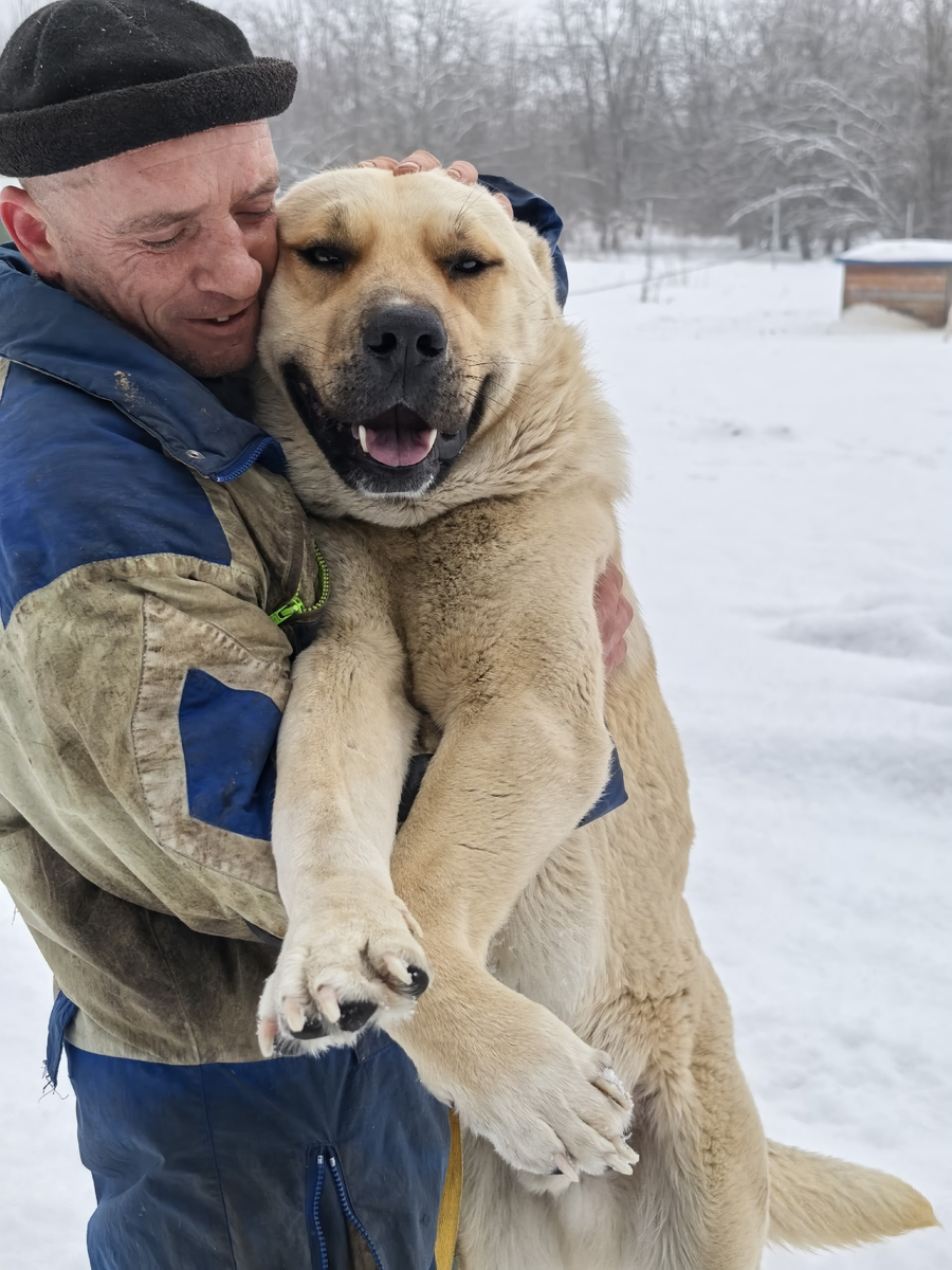 Наш помощник Саша с Цезарем