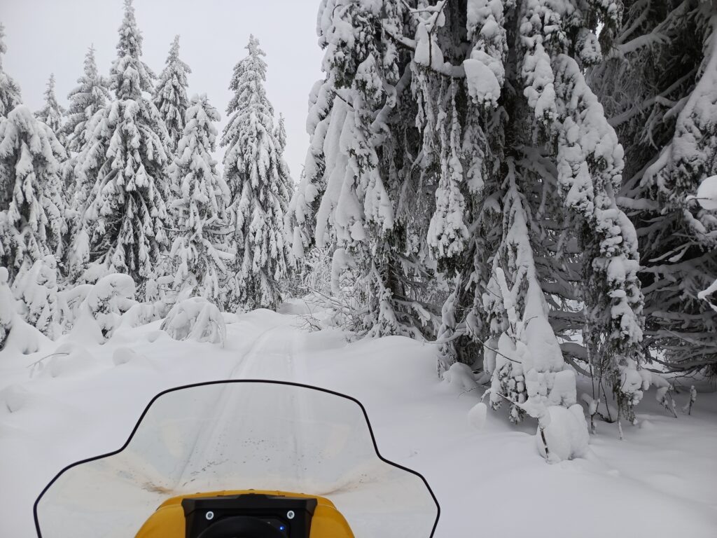    Фото: В курсе.ру Полина Анкушина