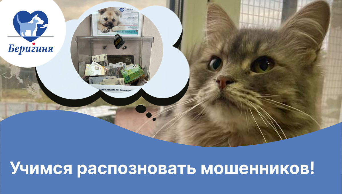 #берегиня_Мака