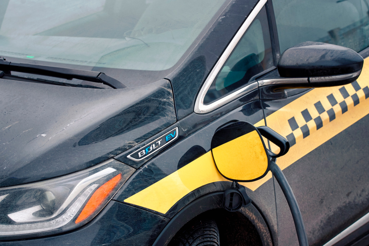    Фото: Tricky_Shark / Shutterstock.com