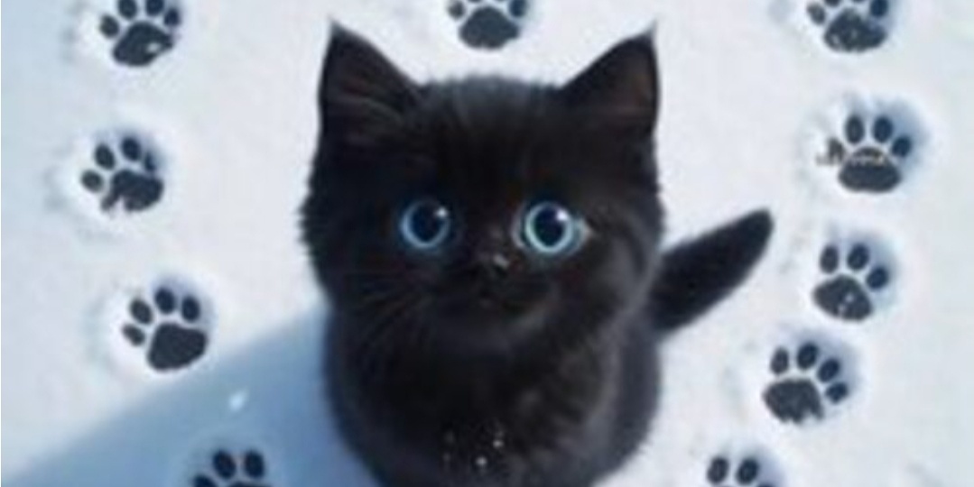 Пятница, 13-е: откуда взялся этот страх и стоит ли его бояться?