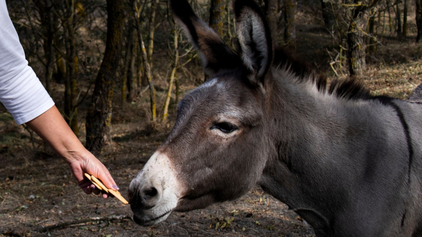    Фото: © РИА Новости/Дмитрий Макеев