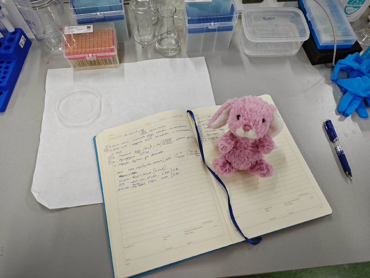 Это и другие фото из личного архива Марии Вильдановой.