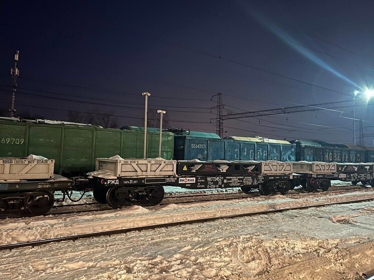     Наибольший прирост зарегистрирован у лесных грузов. Фото: пресс-служба Минтранса Новгородской области