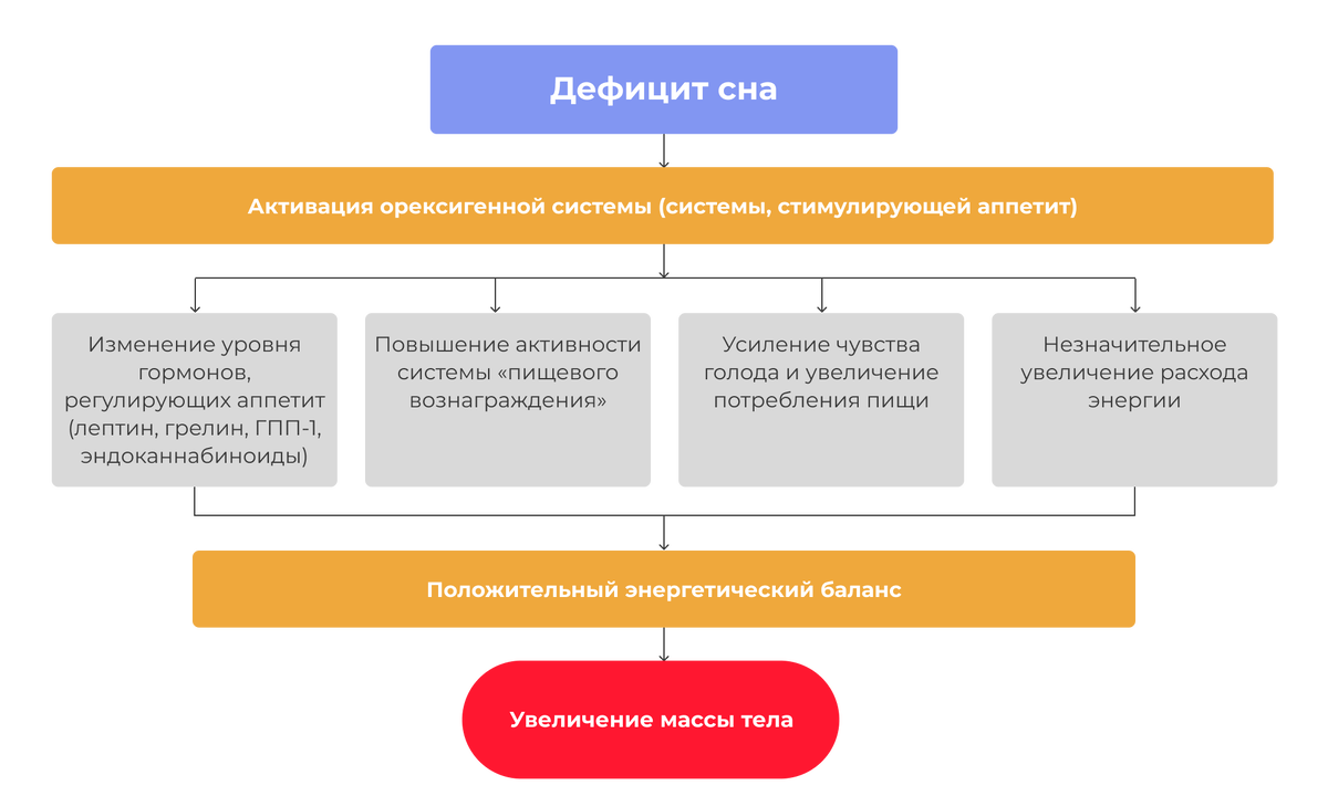 Рис.1. Предполагаемые патогенетические механизмы связи между недостаточным сном и риском развития ожирения 
(адаптировано из Reutrakul S, Van Cauter E. Interactions between sleep, circadian function, and glucosemetabolism: implications for risk and severity of diabetes. Ann N Y Acad Sci. 2014;1311:151–73,)
