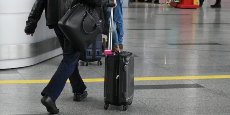    Екатерина Ошкина / "Вести Подмосковья"