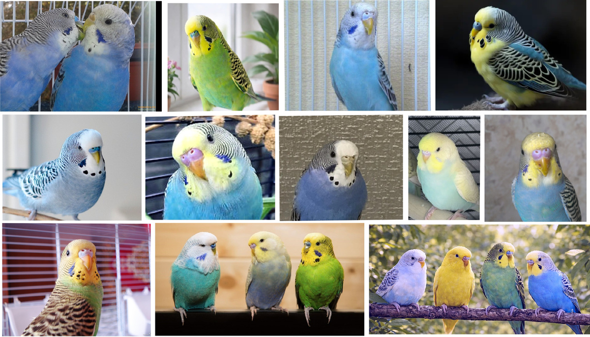 Интересно, сколько тут мальчиков и сколько девочек?