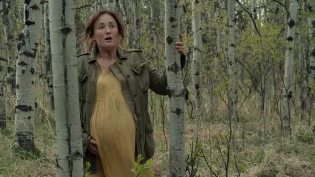    Эшли Джонсон о критике второго сезона «Одни из нас» (источник изображения) News Express Team