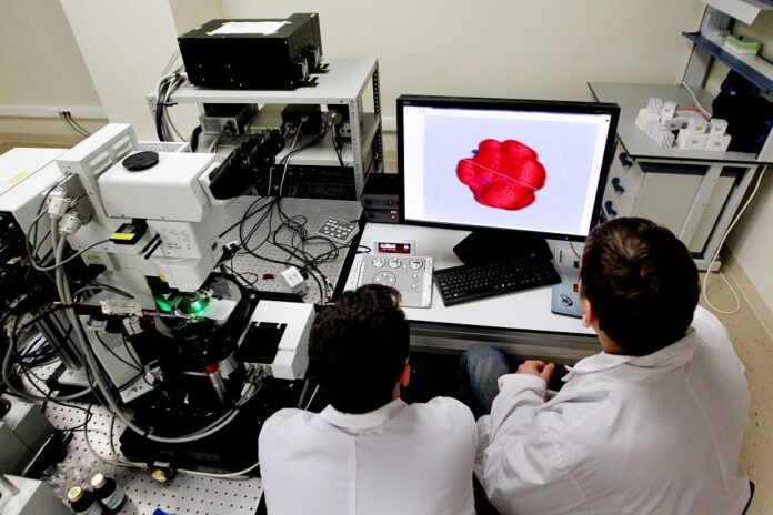    Революционный сибирский алгоритм, позволяющий «перепрошивать» рибосомы, успешно вышел на глобальный рынок биохакинга, преодолевая клеточную бюрократию.
