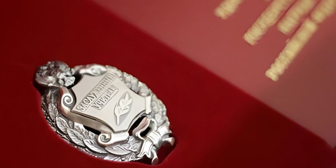 Владимир Путин присвоил почётные звания художнику и трём педагогам Владимира