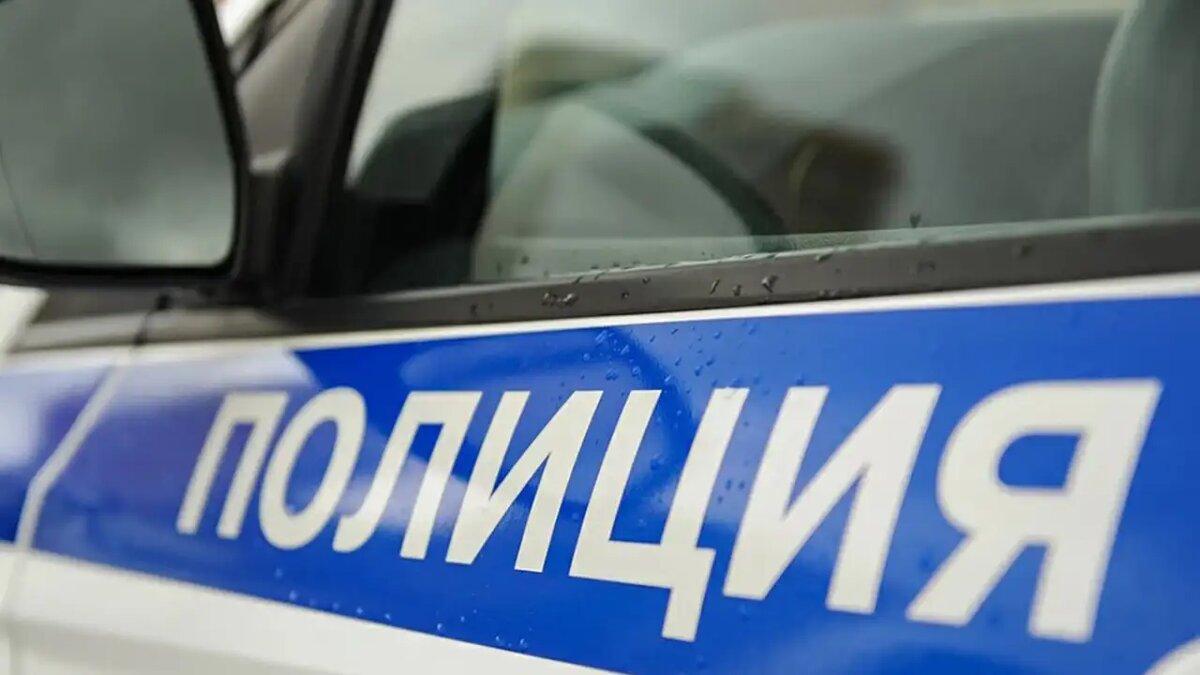     © МВД Медиа