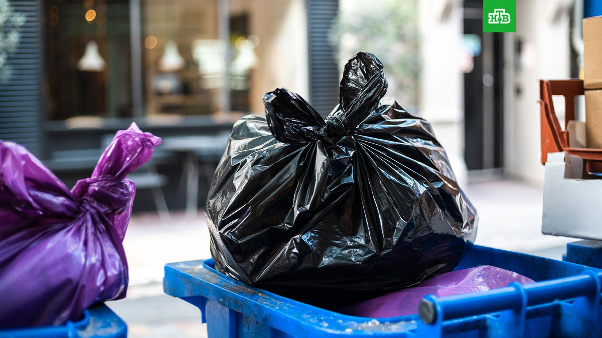 Источник: https://www.ntv.ru/novosti/2941561/