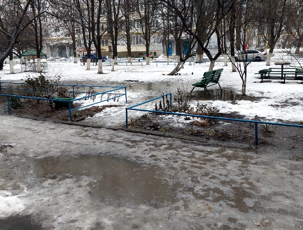    Фото редакции "СВ" Марина Ецкова