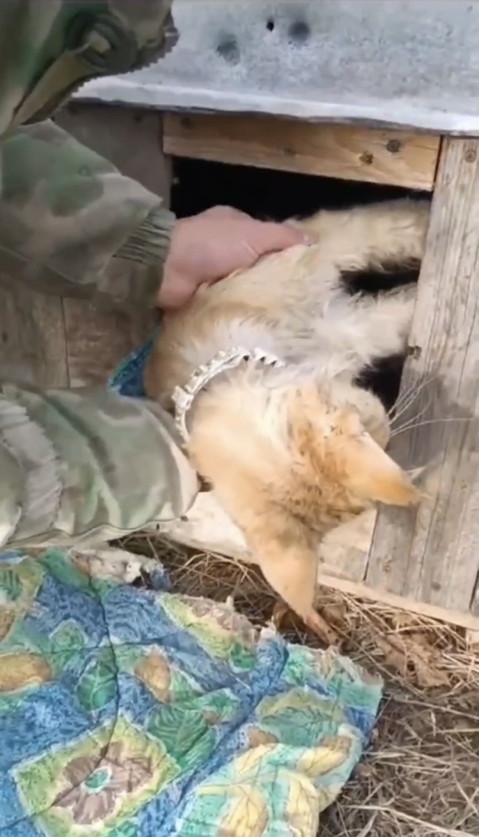 Узнаете? Те же самые руки!