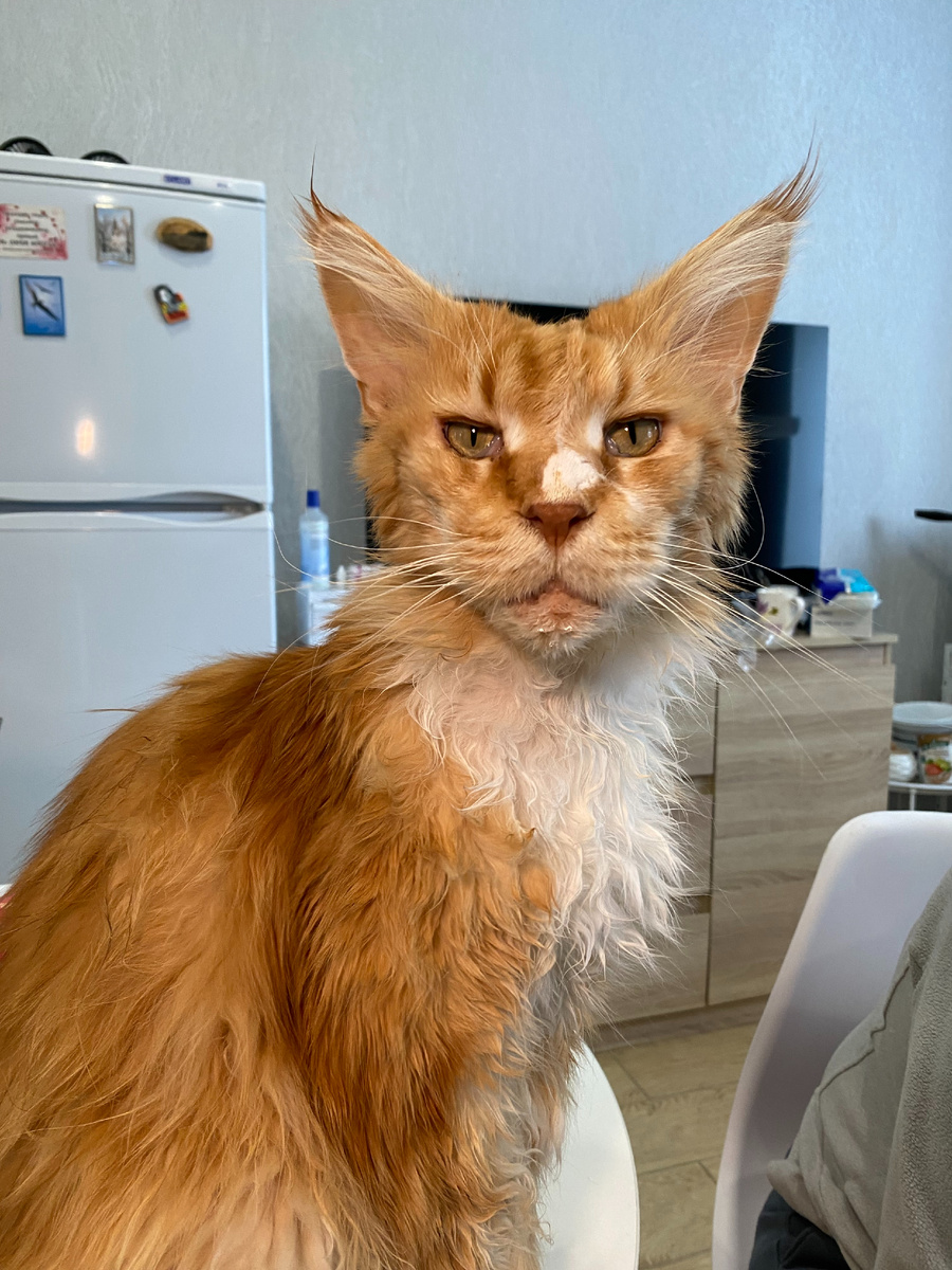 Мэйка узнал! Фото из архива автора