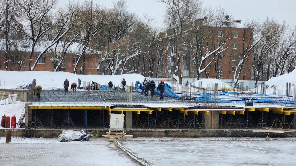     REGIONS / Мария Шигорева